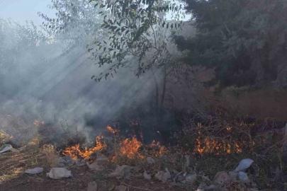 Hassa’da bahçe yangını