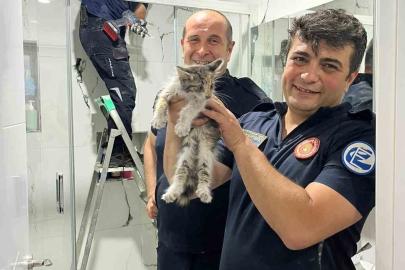 Havalandırma boşluğunda mahsur kalan kediyi itfaiye kurtarıldı