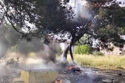 Hurda atık yangını yarım asırlık ağacı küle çevirdi