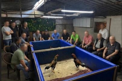İzmir’de horoz dövüşü operasyonu: Çiftlik mühürlendi, 130 bin lira ceza kesildi