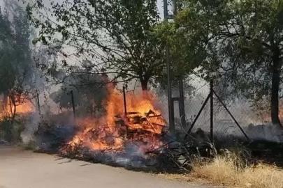 Karadağ Ormanlık alanda çıkan yangın korkuttu
