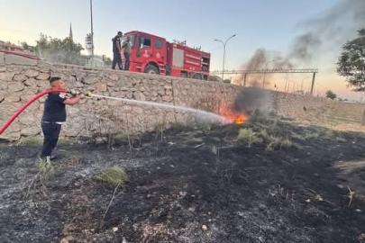 Kırıkhan’da zeytinlik alan yangını
