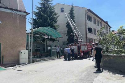 Kütahya’da ağaca takılan serçe itfaiye ekiplerince kurtarıldı