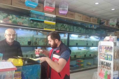 Kütahya’da ev hayvanı satış yerlerinde denetim