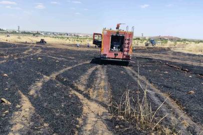 Mardin’de 40 dönüm buğday ekili alan yangında zarar gördü