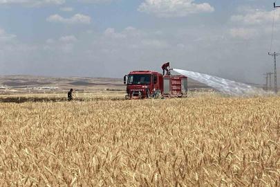 Mardin’de yaklaşık 300 dönüm ekili alan alevlere teslim oldu