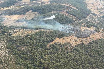 Milas’ta çıkan zirai yangın kısa sürede kontrol altına alındı