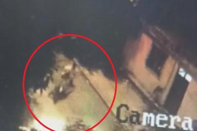 Motosikleti rahat tavırlarla çalan hırsızın o anları kamerada