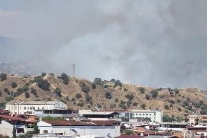 Nazilli’de zirai alan yangını