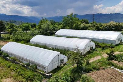 Ordu’da örtü altı üretim 68 bin metrekareye ulaştı