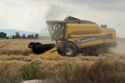 Osmaniye’de 15 gün gecikmeli başlayan hasatta yüksek verim sevinci