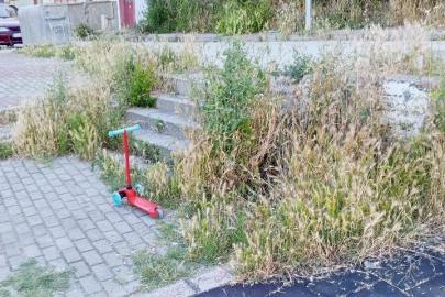Otluk alana dönen bu park bakım ve temizlik bekliyor