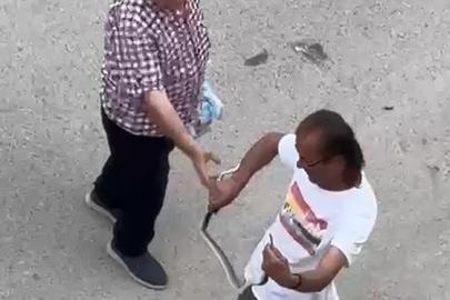 Paniğe sebep olan yılanı eliyle yakaladı