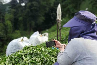 Rize’de çay bahçesinde milli maç heyecanı