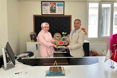 Sağlık-Sen sosyal hizmet çalışanlarının sorunlarını masaya yatırdı