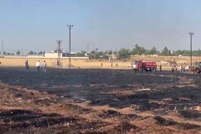 Şanlıurfa’da çıkan yangında 60 dönüm buğday ekili alan zarar gördü
