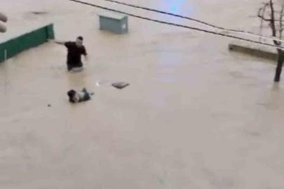 Sel sularına kapılan yaşlı adamı son anda kurtardılar