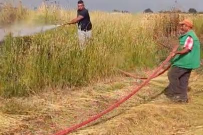 Şerare yapan elektrik telleri yangına sebep oldu