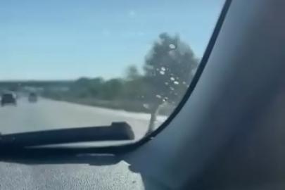Seyir halindeki aracın kaputunda yılan paniği