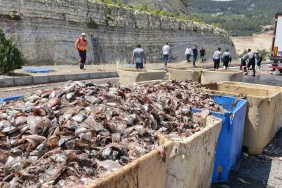 Seyir halindeki tırın dorsesi patladı, 15 ton balık atığı yola saçıldı