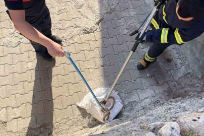 Siirt’te 1 buçuk metrelik yılan evin bahçesinden çıktı