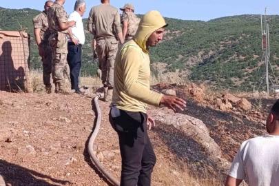 Siirt’te çıkan yangın ekiplerin müdahalesiyle söndürüldü