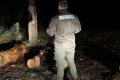 Sinop ormanları gece-gündüz koruma altında