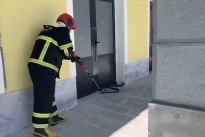 TCDD binasına giren yılan paniğe neden oldu
