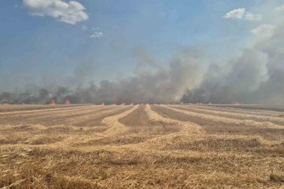 Tekirdağ’da 2 farklı noktada çıkan yangın söndürüldü: 700 dönümlük alan ve 20 konteyner kül oldu