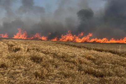 Tekirdağ’da 400 dönüm buğday ekili alan yandı