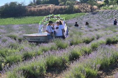 Tekirdağ’da Lavanta Şenliği başladı