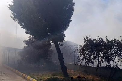 Tekirdağ’da tarım arazisinde başlayan yangın: Alevler 4 farklı noktaya sıçradı