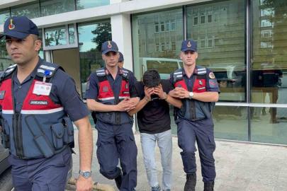 Televizyon hırsızlığı zanlısı, jandarma ekiplerince yakalandı