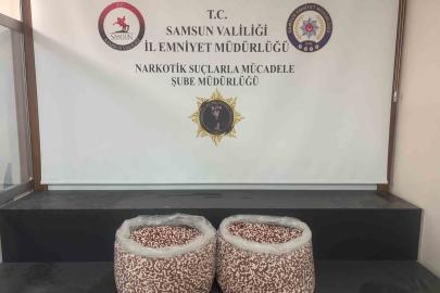 Tırın yatak bölümünde 129 bin 500 uyuşturucu hap ele geçti
