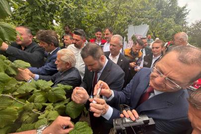 Trabzon’da kahverengi kokarcaya karşı doğal ordu göreve başladı