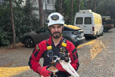 Üç gündür ağaçta mahsur kalan kedi kurtarıldı