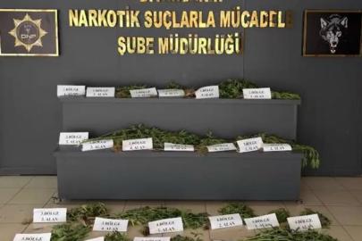 UNESCO Dünya Mirası Listesi’ndeki Hevsel Bahçeleri’nde uyuşturucu ele geçirildi