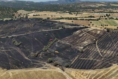 Uşak’ta çıkan yangında 300 dekar ekili alan zarar gördü