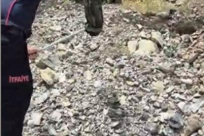 Yatak ve halıların arasına saklanan yılanı itfaiye buldu