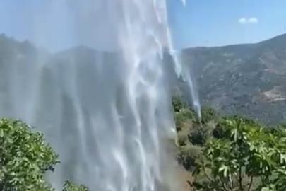 Yemek ısıtmak için yaktığı ateş incir bahçesini kül etti