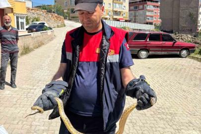 Yozgat’ta otomobile giren yılanı itfaiye ekipleri çıkardı