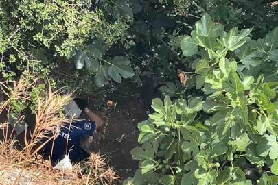10 metreden düşen kadın, yardıma gelen polislerden kaçtı