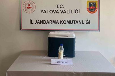 5 milyon dolarlık akrep zehri Yalova’da yakalandı