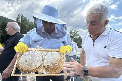 AB tescilli Yenice ıhlamur balında hasat başladı