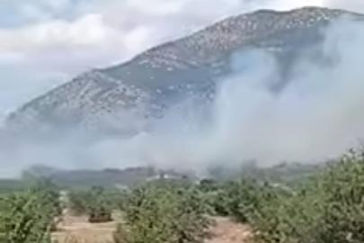 Acıpayam’daki orman yangını kontrol altına alındı