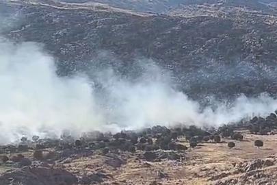 Adıyaman’da ormanlık alanda yangın