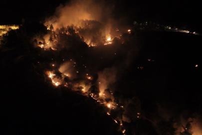 Adıyaman’daki orman yangınıyla ilgili bir şahıs tutuklandı