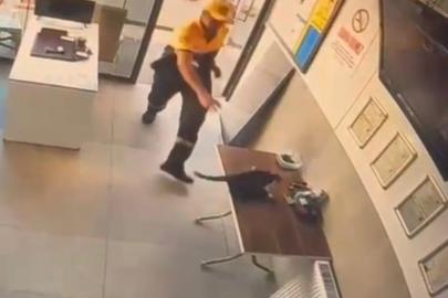 Akaryakıt istasyonunda kedinin saldırdığı kargayı görevli kurtardı