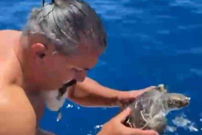 Alanya’da çuvala dolanan caretta carettayı tur teknesi kaptanı kurtardı