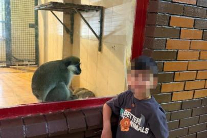 Alanya’da havuzda boğulma tehlikesi geçiren çocuk yaşam mücadelesini kaybetti